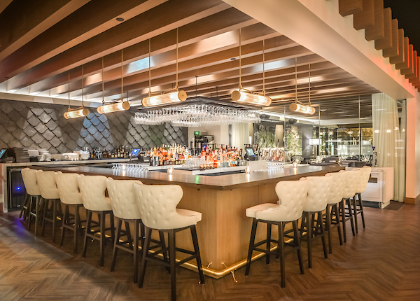 Ocean 44 in Scottsdale