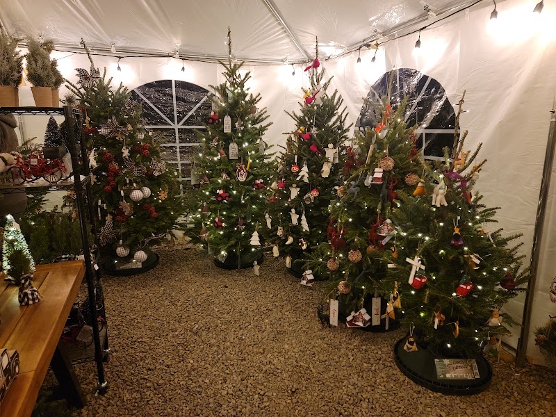 Lantern Ridge Farm Market And Nursery in Sandia Park