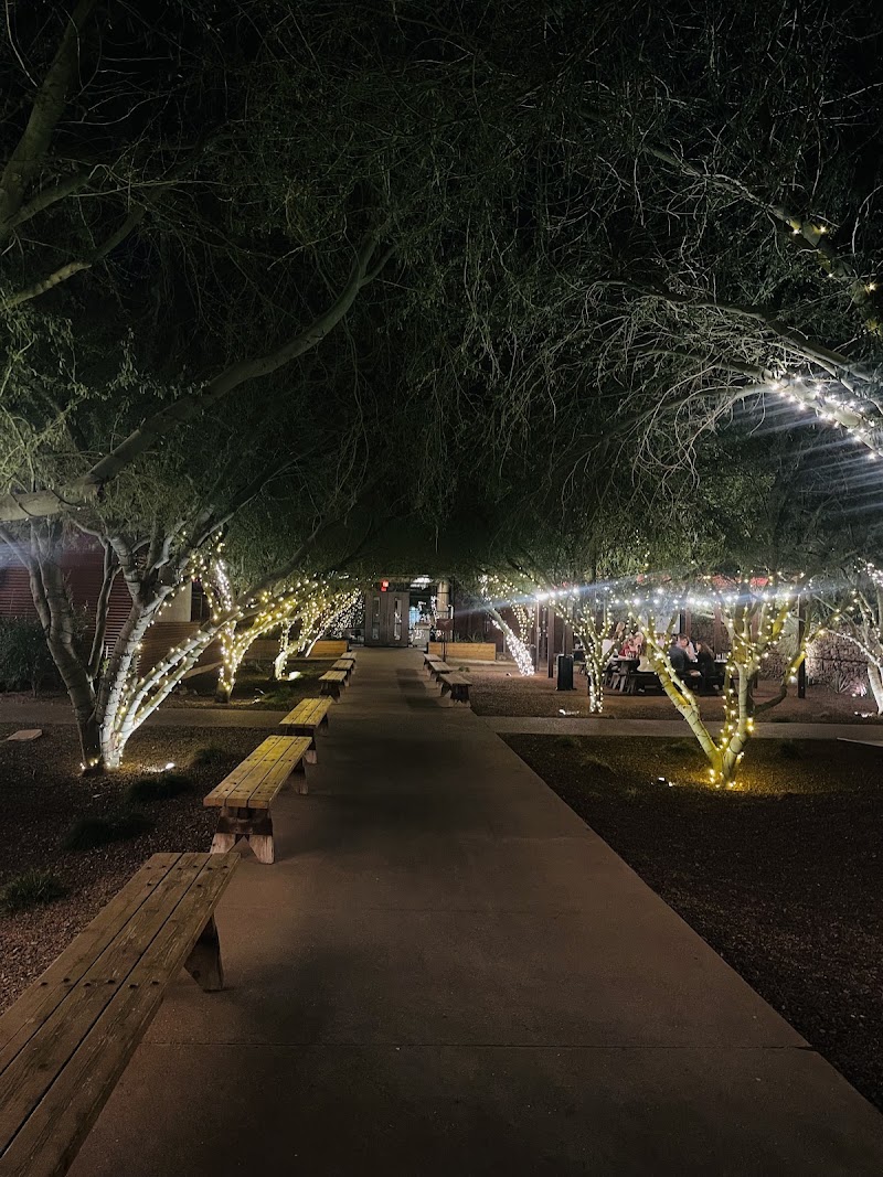 Food and interior photo 5 at Ocotillo Restaurant in Phoenix