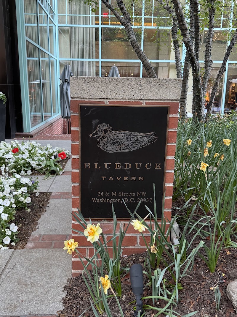 Food and interior photo 4 at Blue Duck Tavern in Washington