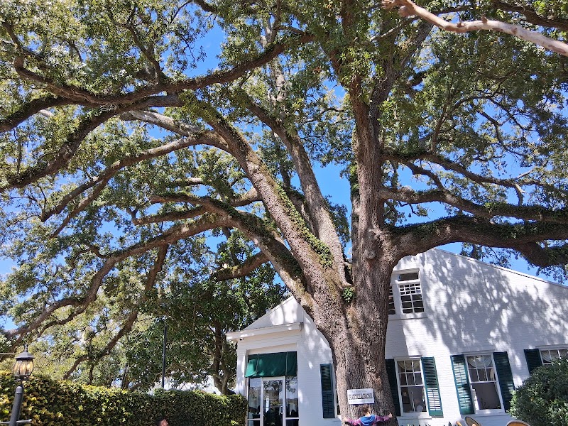 Food and interior photo 3 at Mary Mahoney's | Old French House in Biloxi