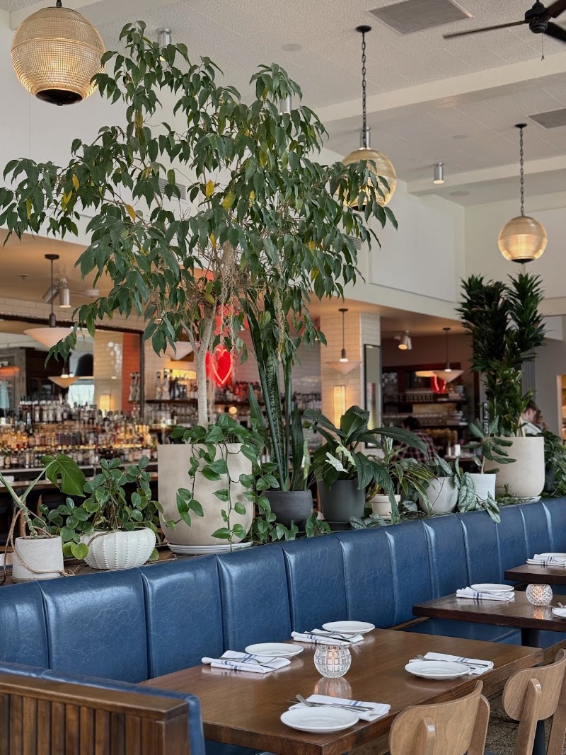 Food and interior photo 4 at Olive + Oak in Webster Groves