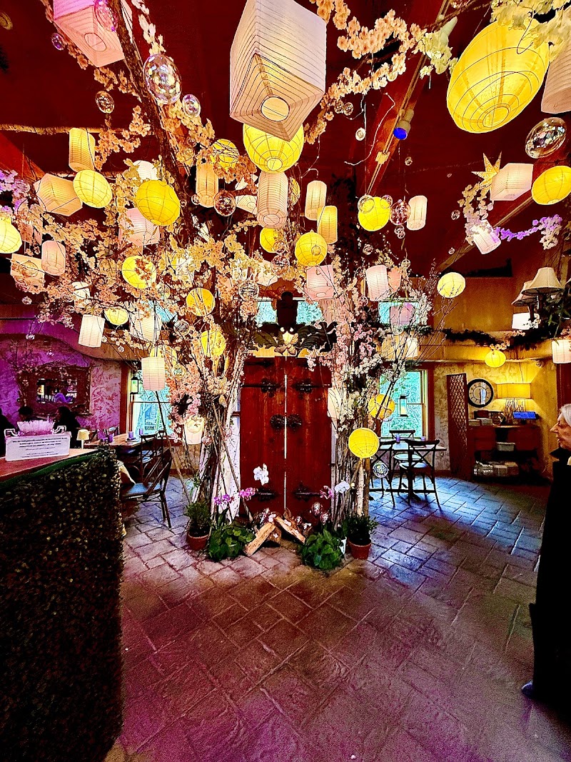 Food and interior photo 5 at Tree House Tavern in Warwick