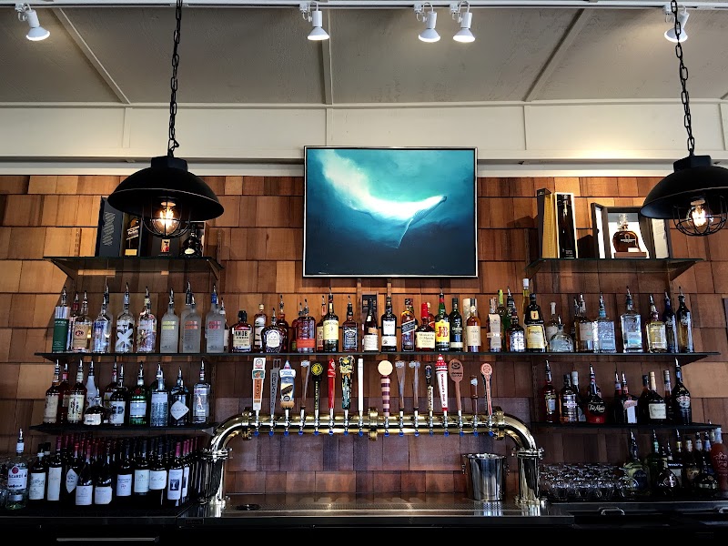 Haleʻiwa Beach House in Haleiwa