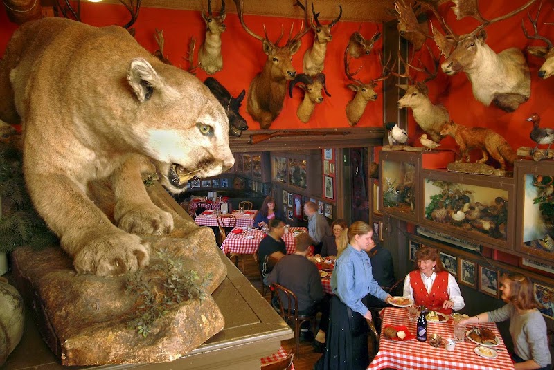Food and interior photo 5 at Buckhorn Exchange in Denver