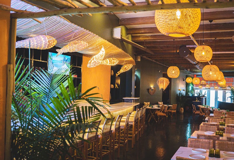 Casa Tulum in Chicago