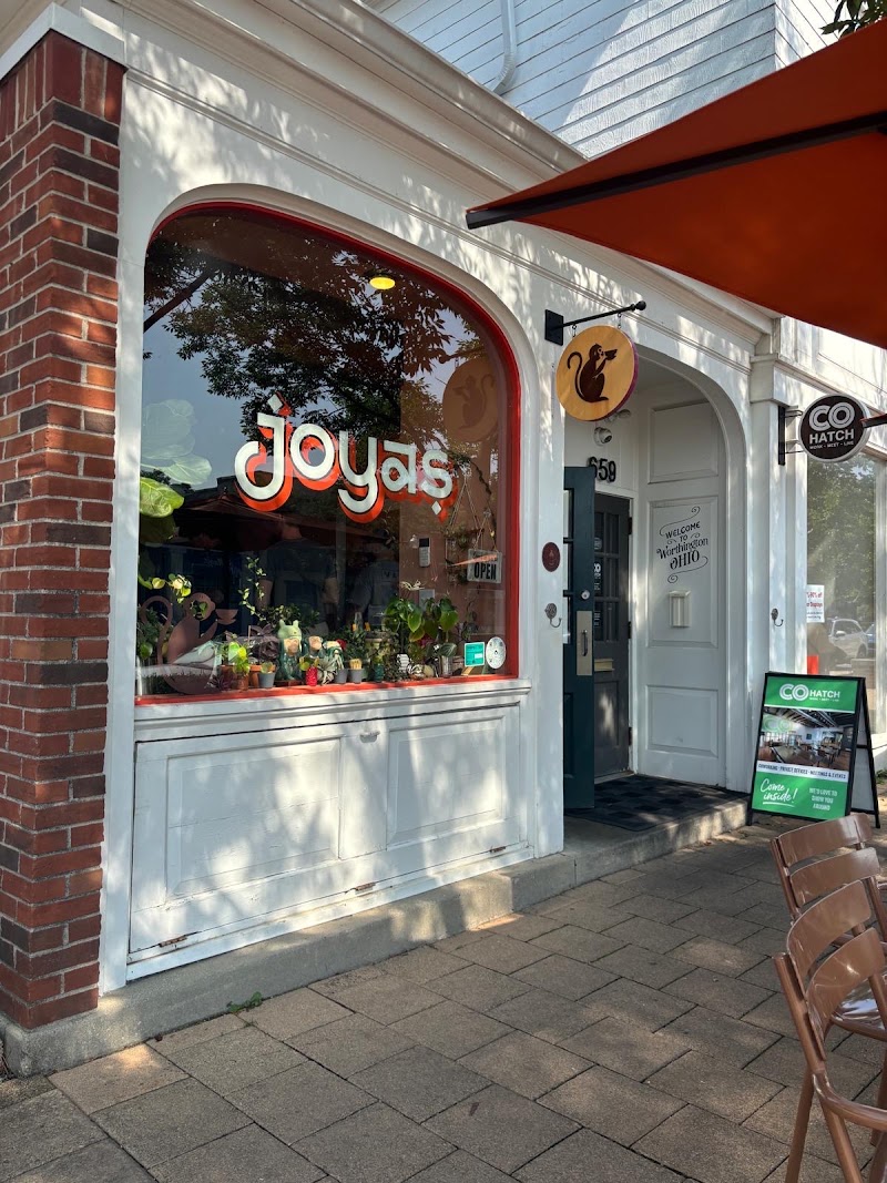 Food and interior photo 5 at Joya's in Worthington