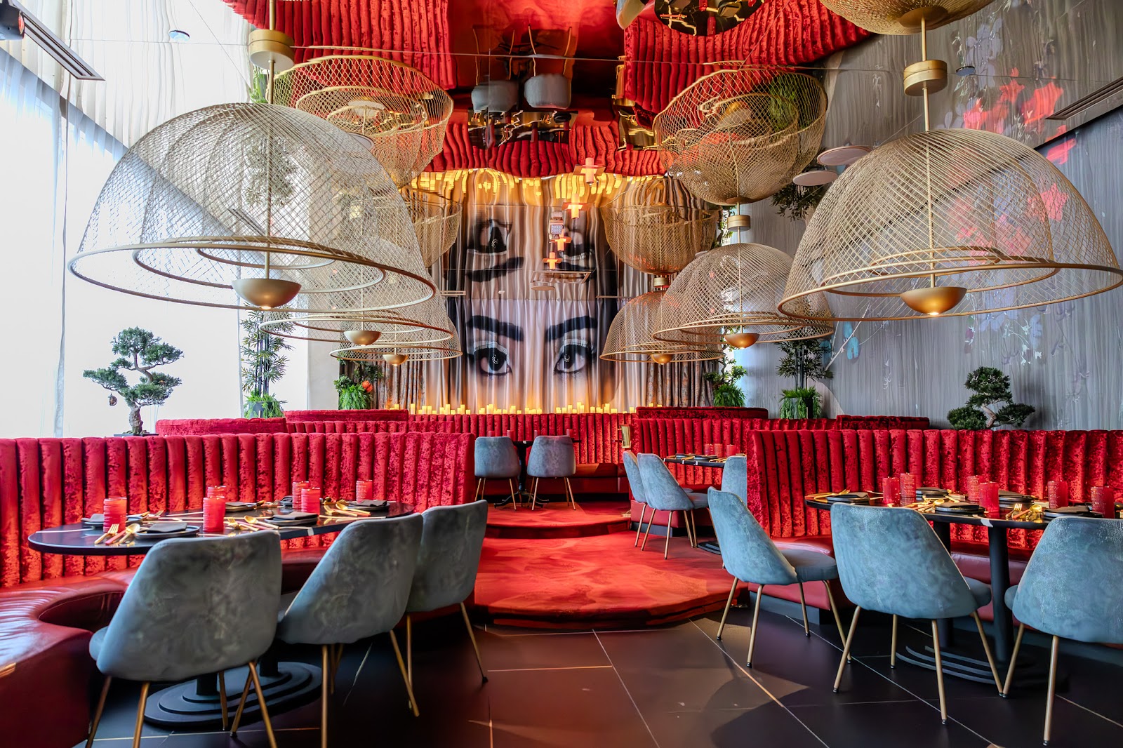 Experience Zuzu, Detroit in Detroit