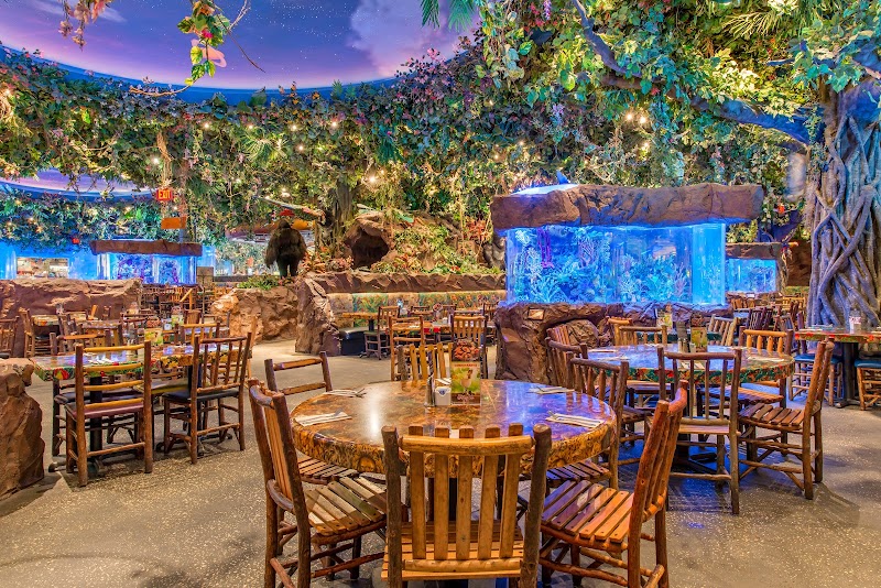 Rainforest Cafe in Lake Buena Vista