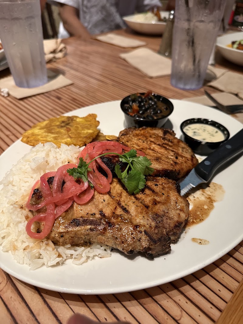 Food and interior photo 4 at Rainforest Cafe in Lake Buena Vista