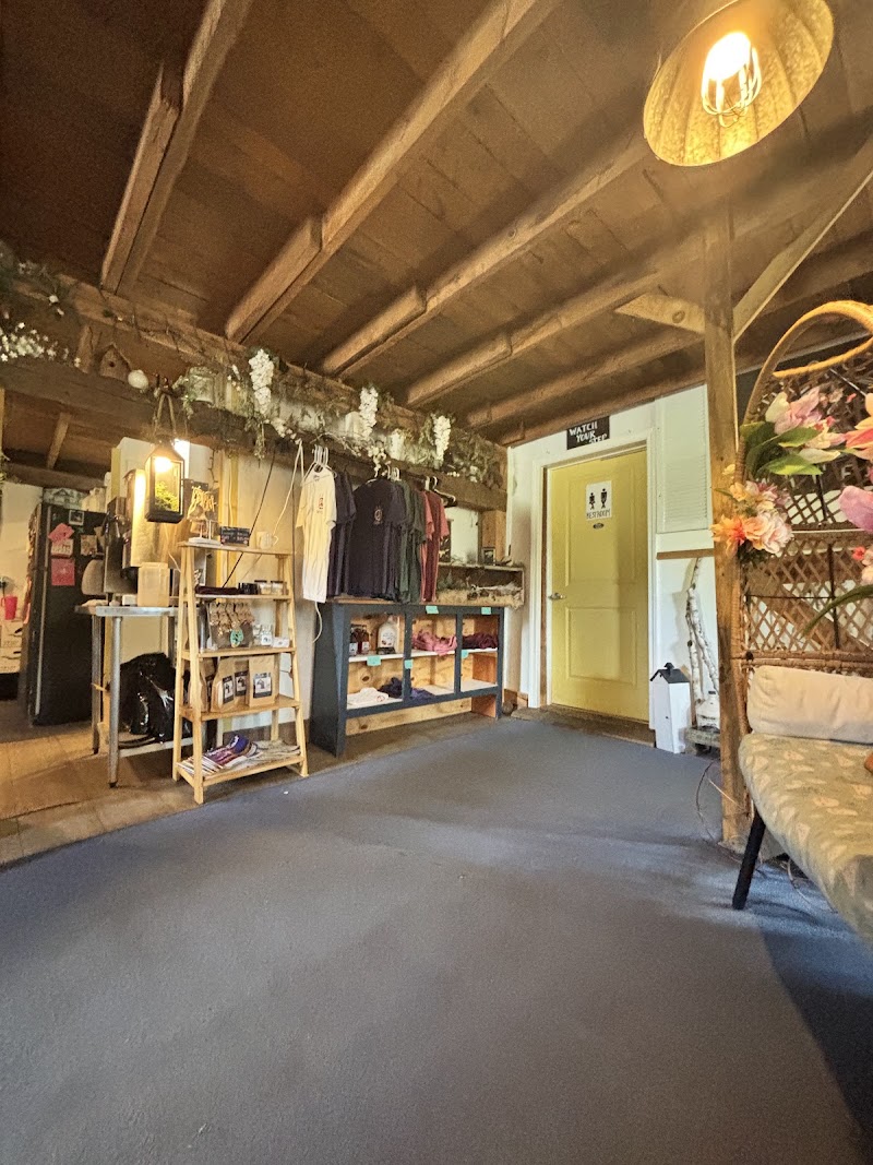 Food and interior photo 4 at Peace Love Waffles in Dover-Foxcroft
